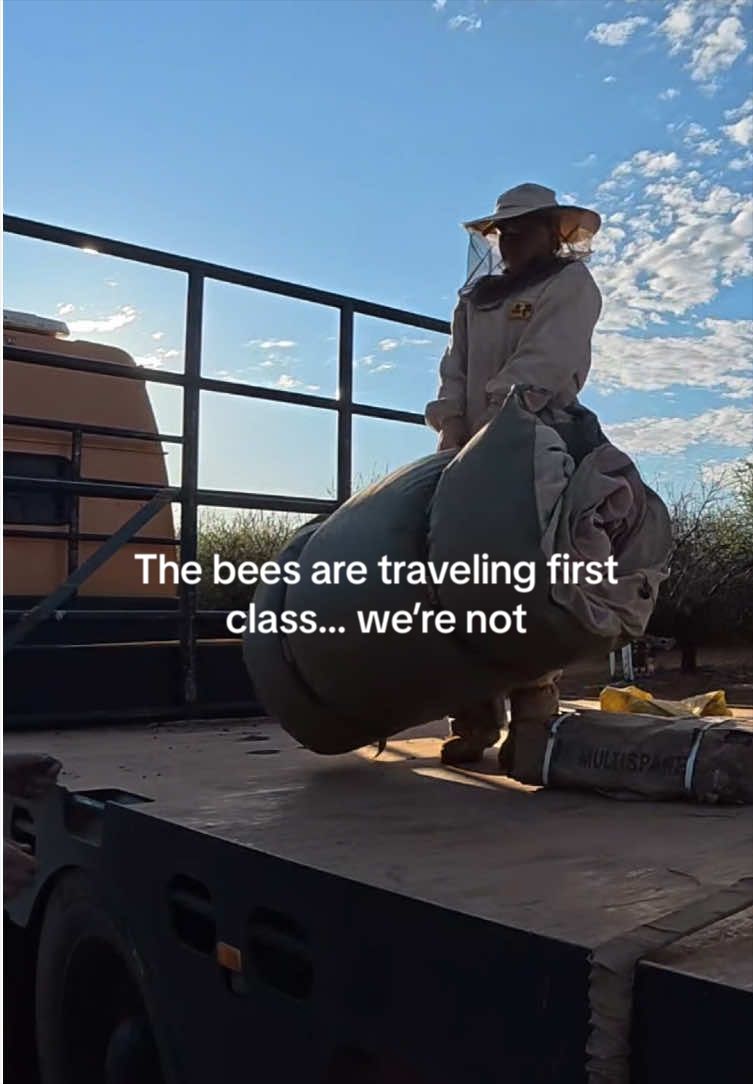 @phiasbees