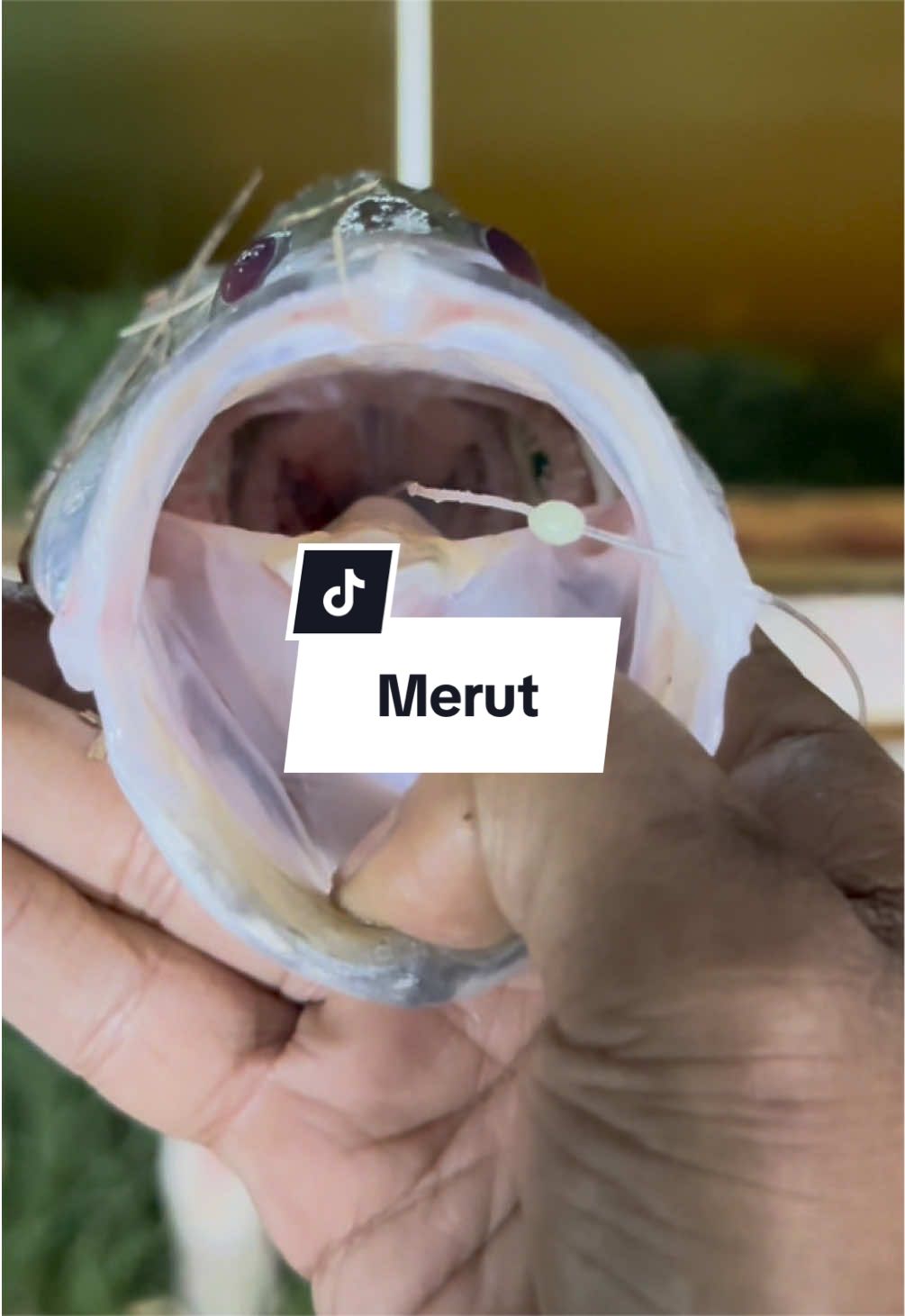 @#NasCaster🎣