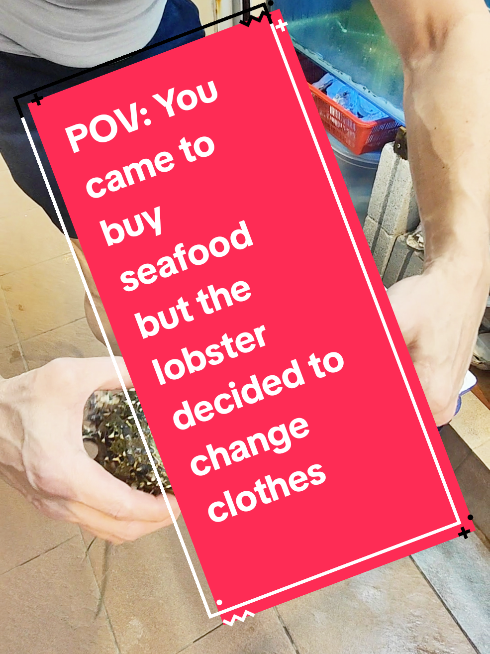 @Live Seafood Supply @ Crabtalk