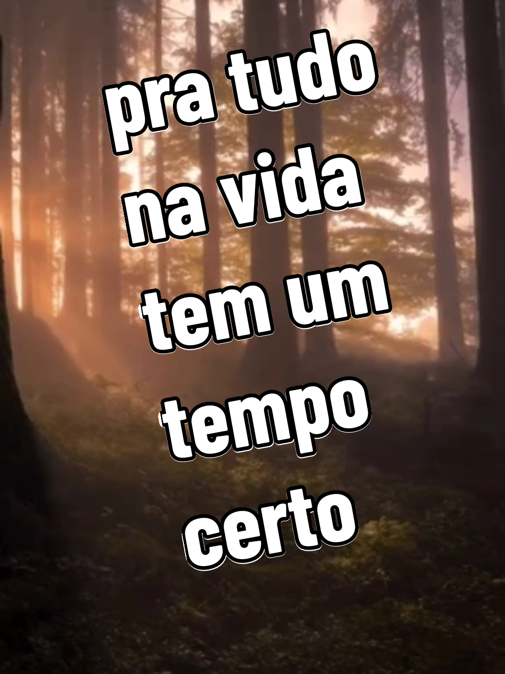@Manoel Motivação🙏😍