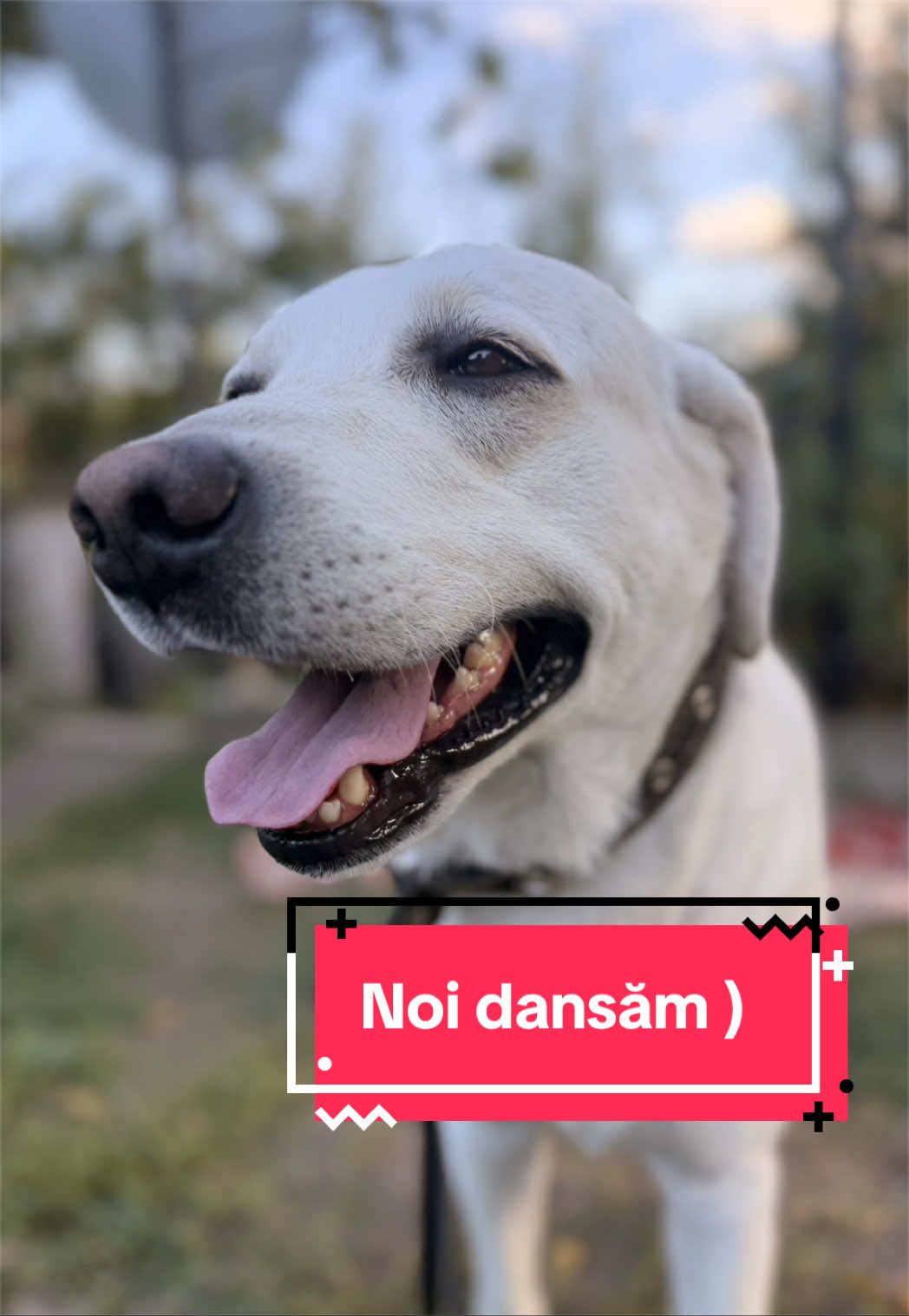 @Larisa🐾Taison