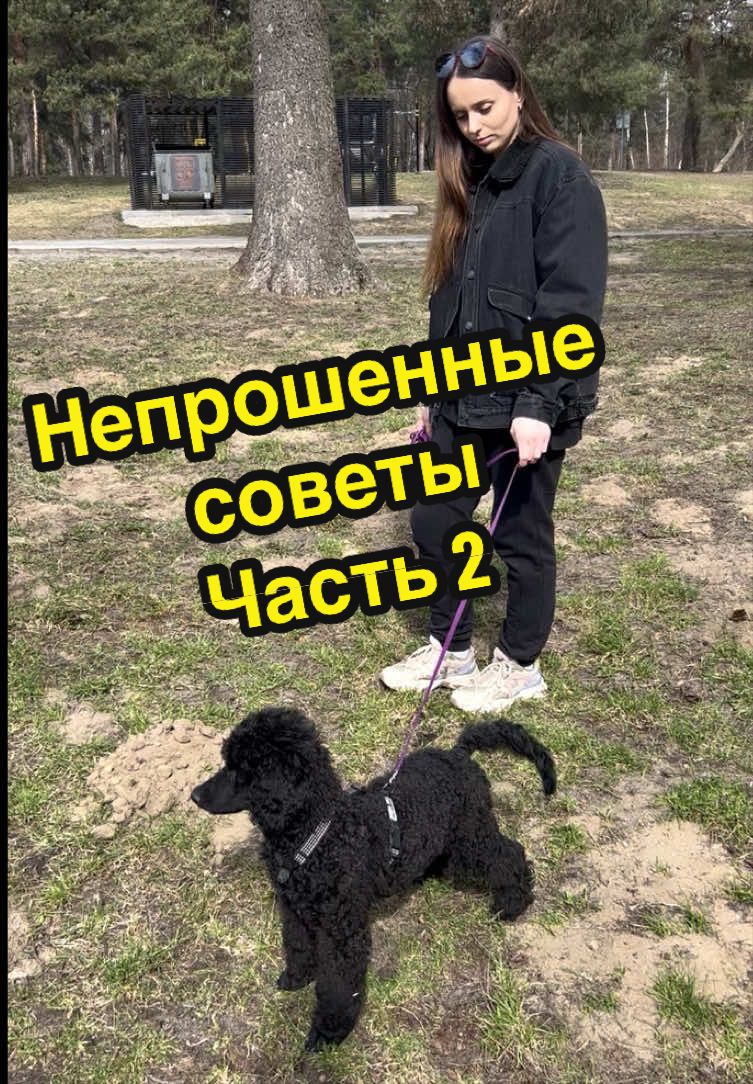 @Малыш Монти и Ди 🖤