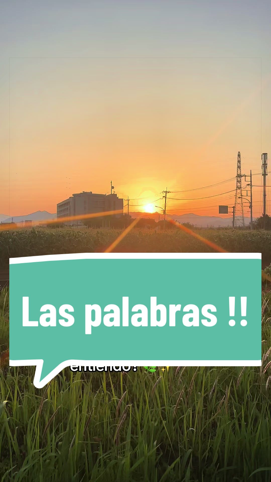 @🇵🇪Jackyhida🇯🇵