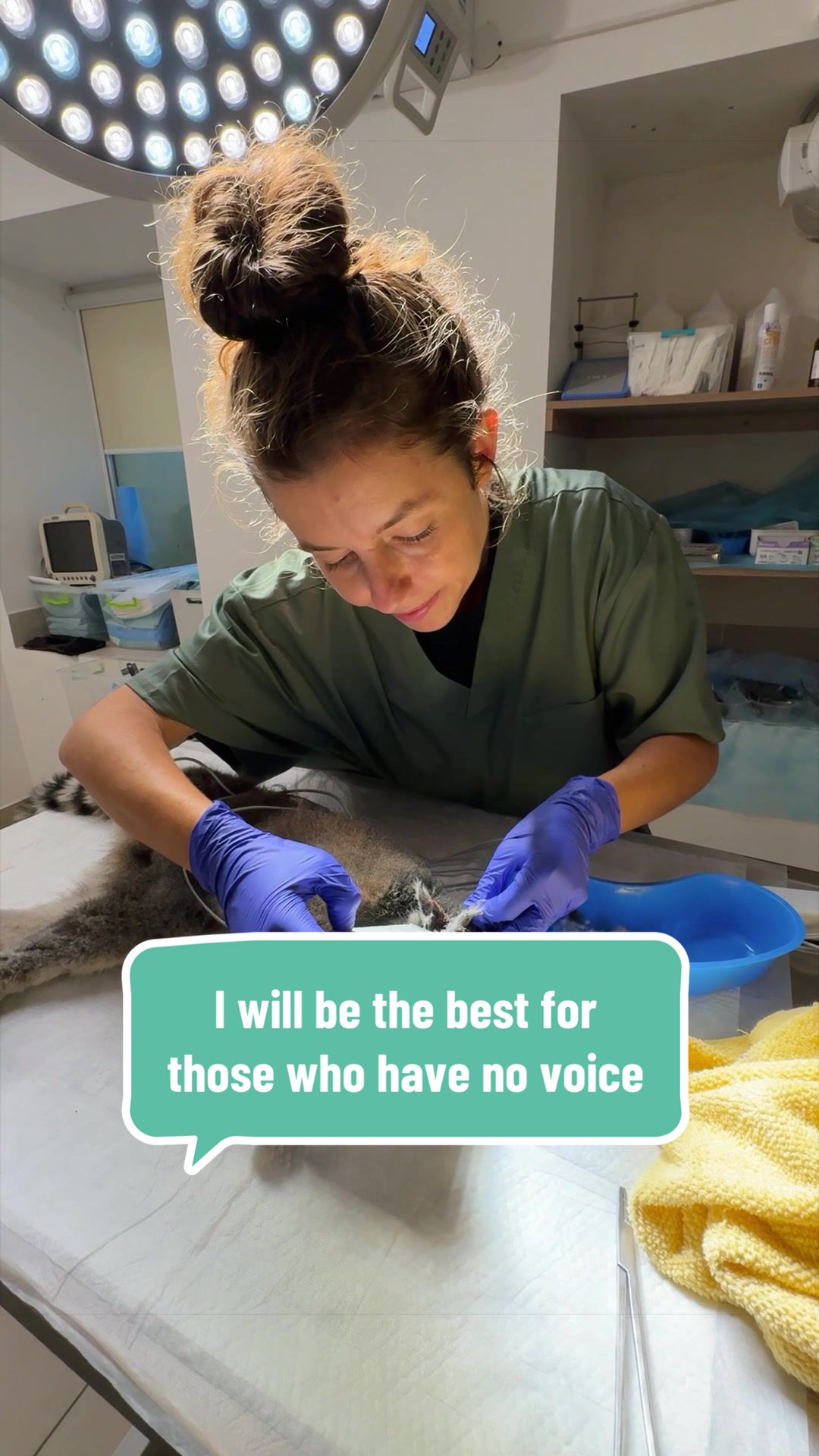 @VET CREW