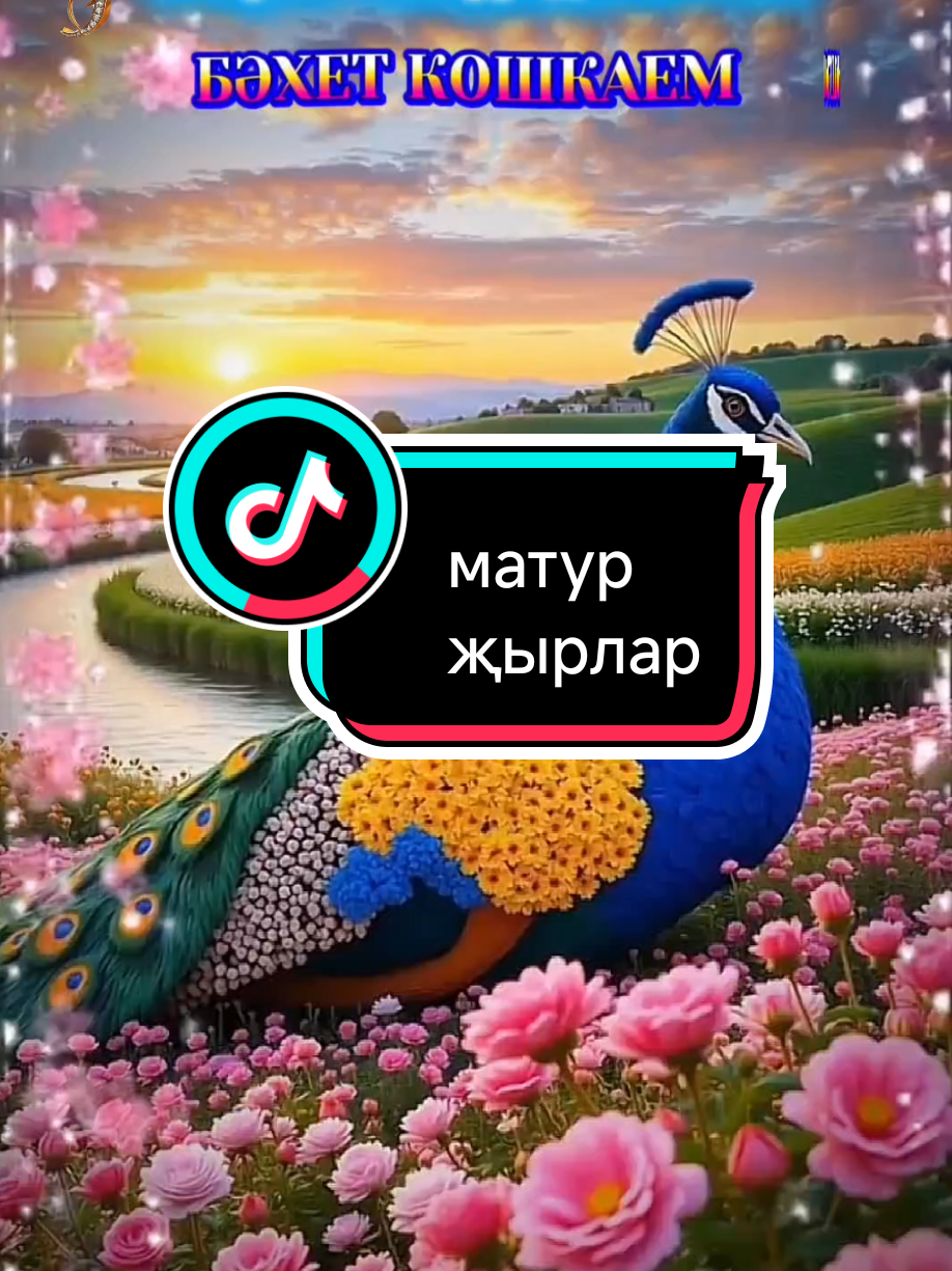 @💕☪татвидео открытки☪︎ 💕