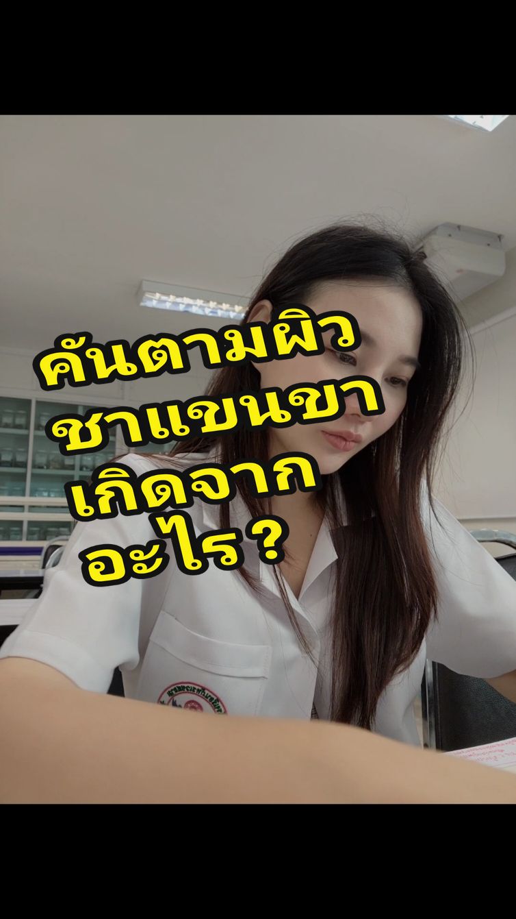 @sokwischหมอกวาง
