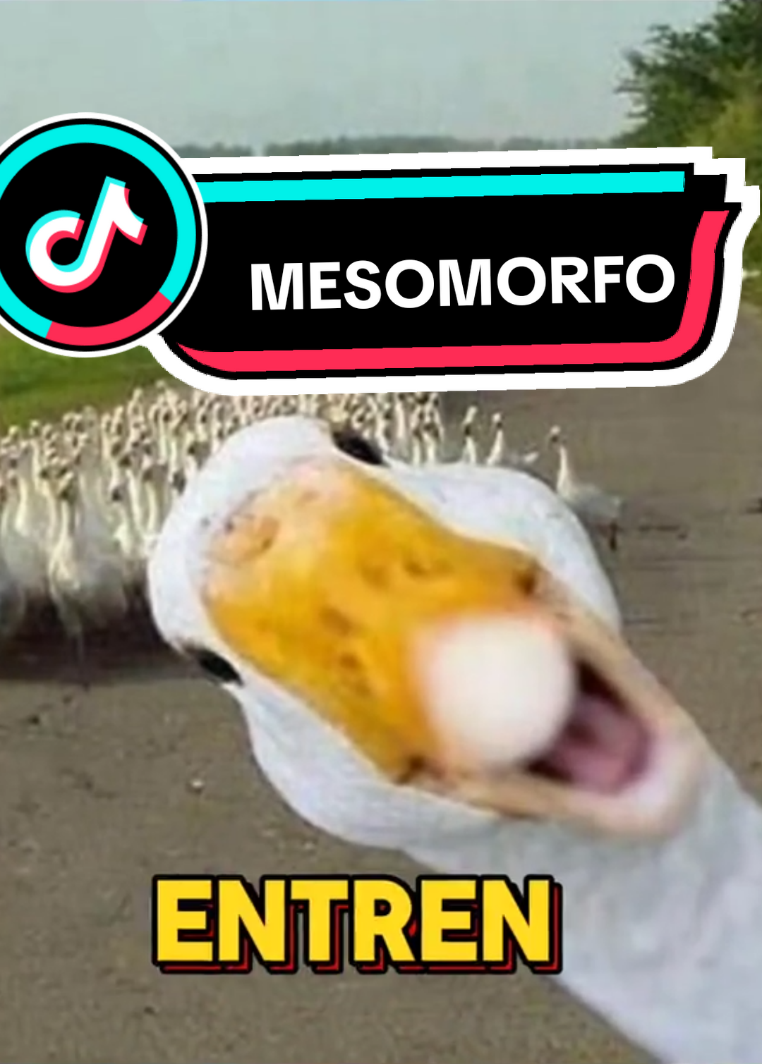 @𝘼𝙭𝙞𝙤𝙧