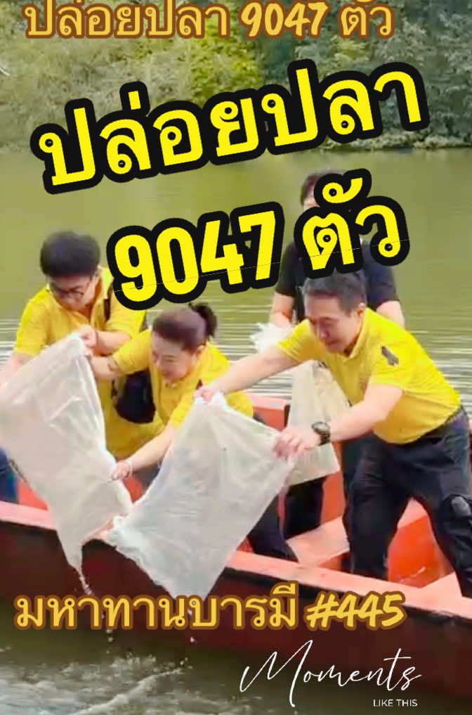 @DanaiChanchaochai