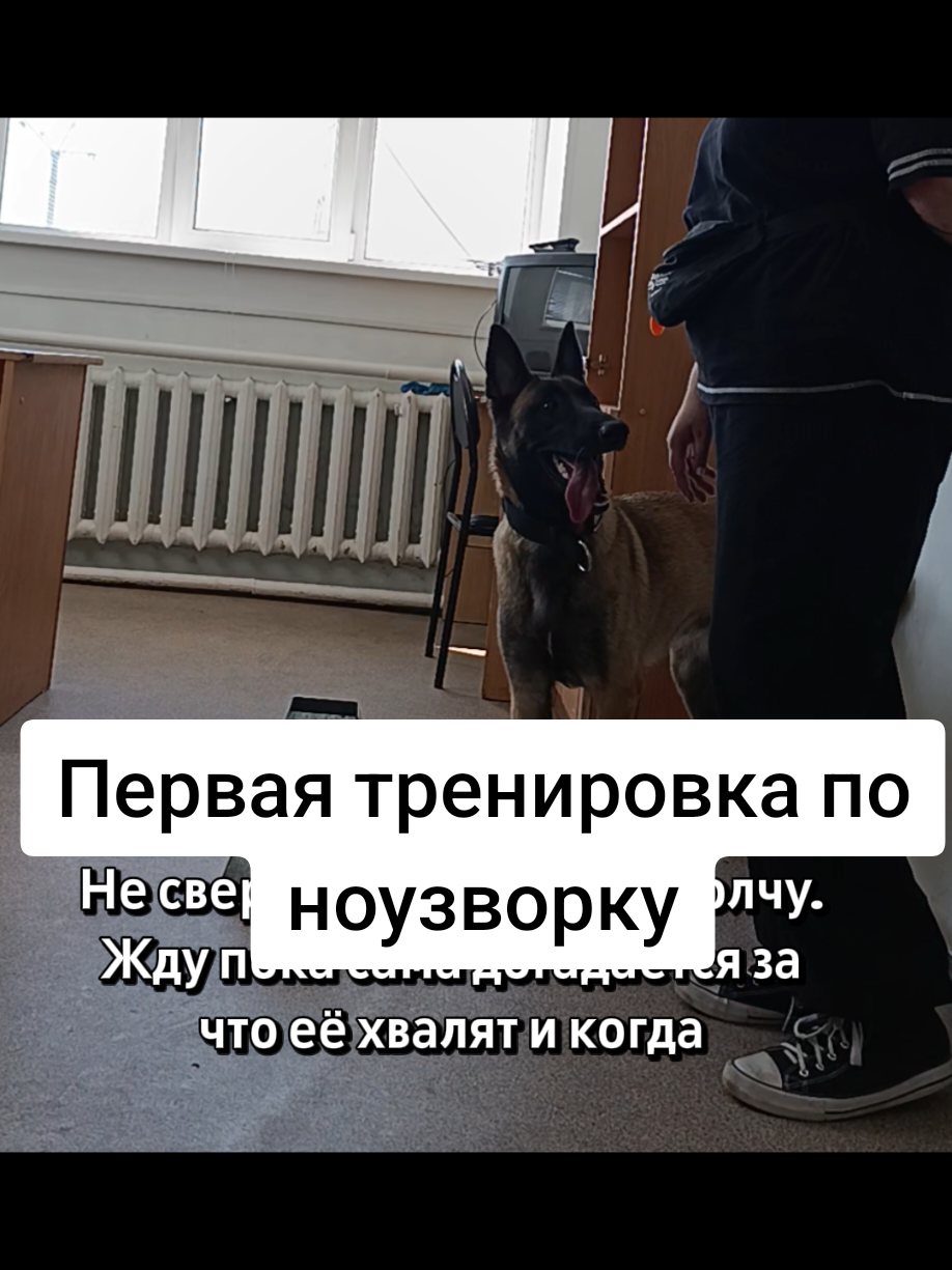 @⚡Кита from авито⚡