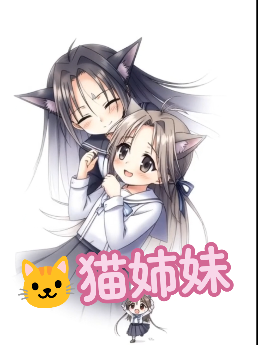 @🦊こぺん海苔🐱