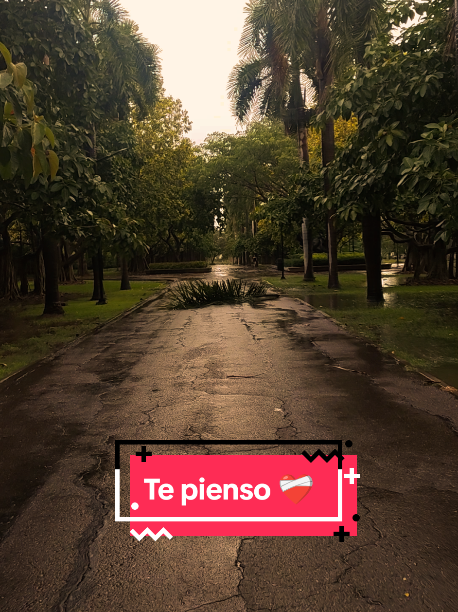 @coslune