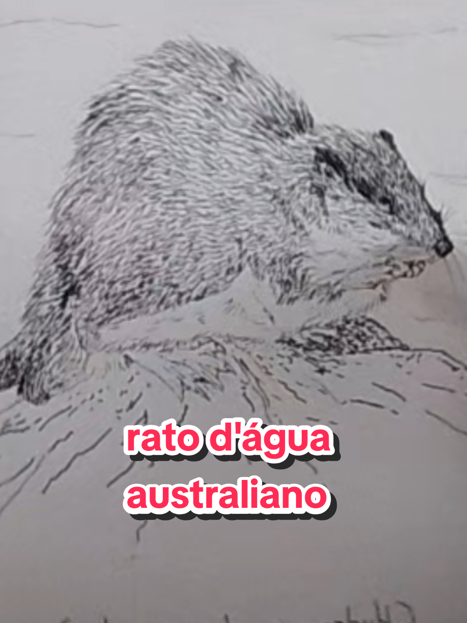 @Afonso Henrique