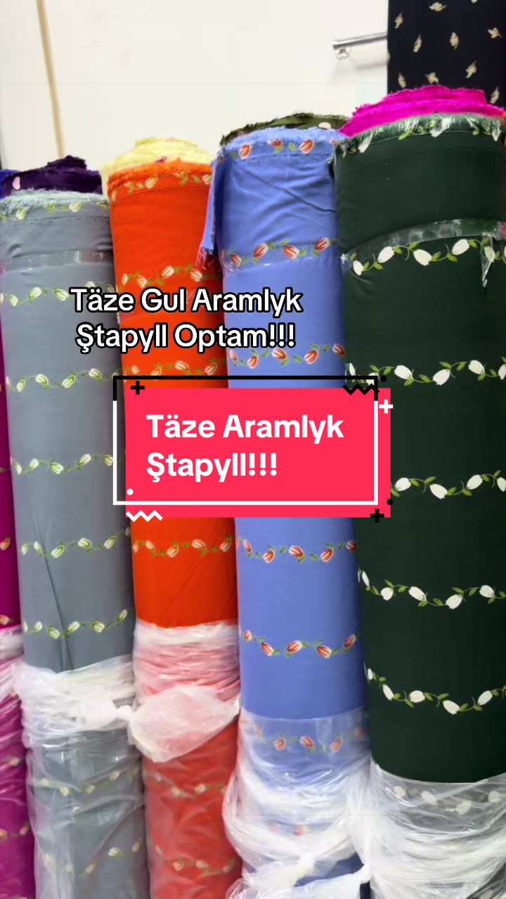 @Birinji el Optam Stapyllar1