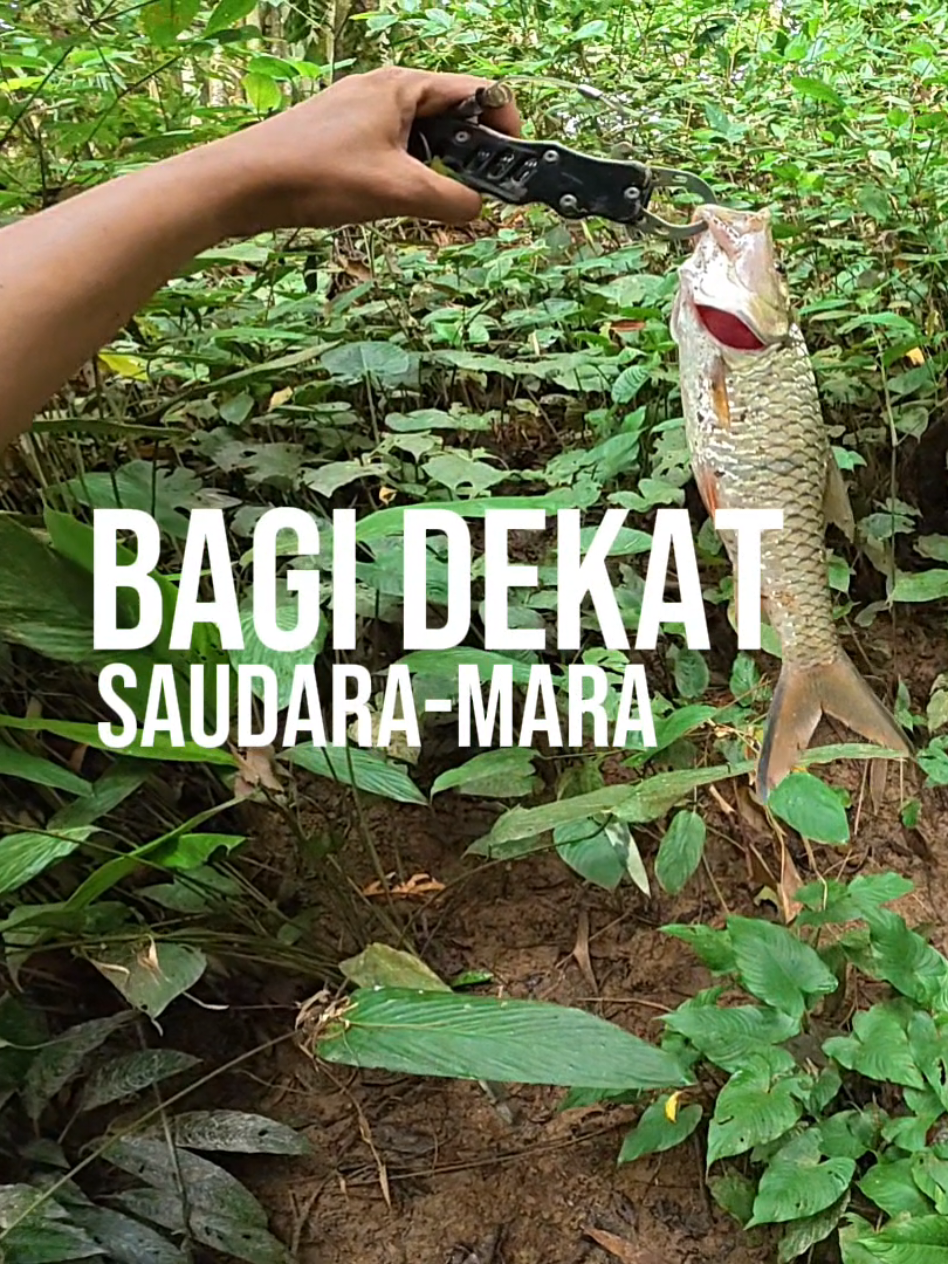 @Damz Strike Fishing