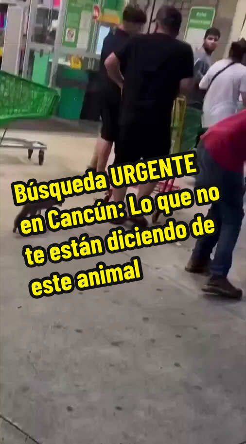 @Fidel desvelado