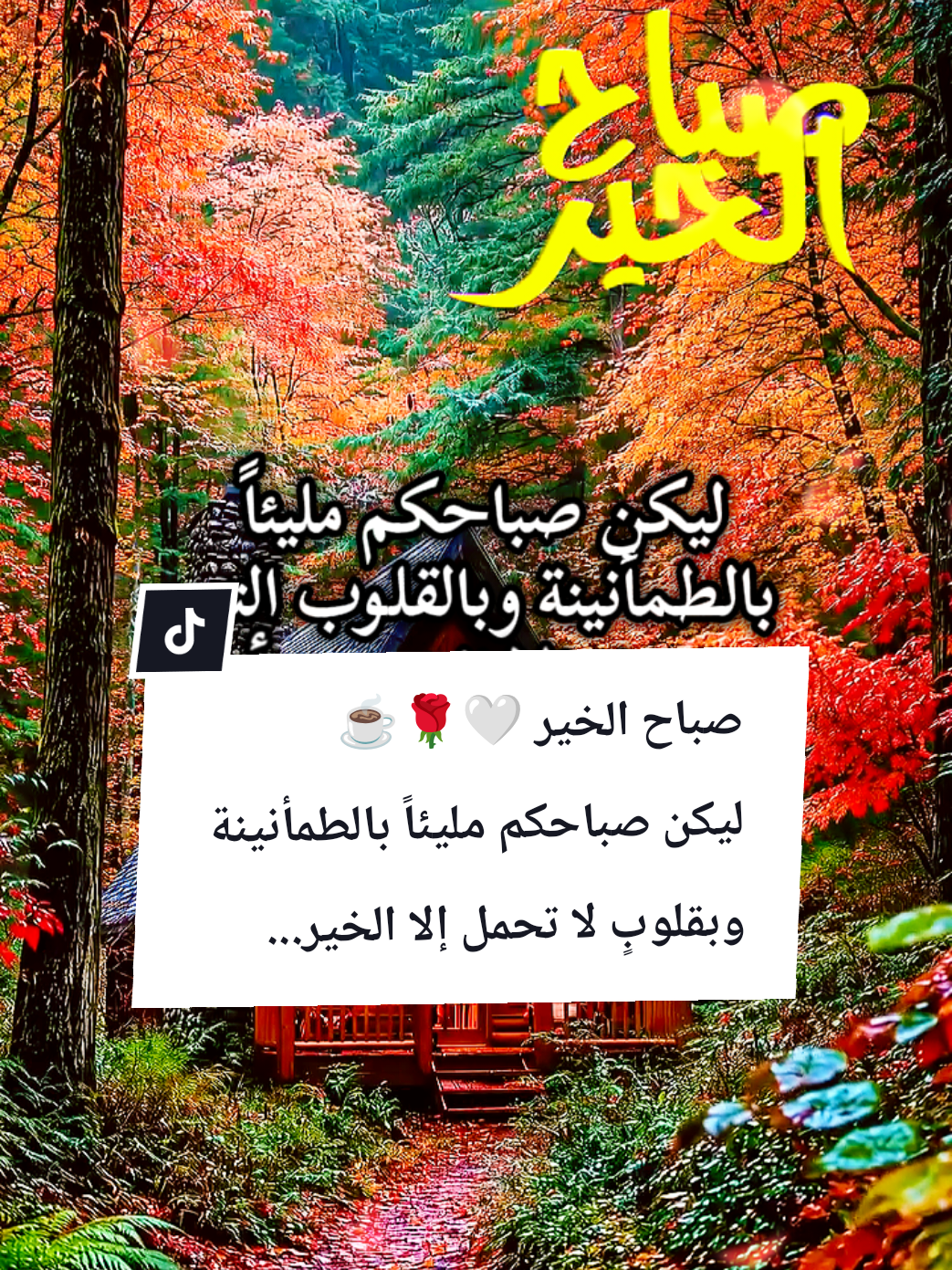 @🌟𝗦𝗼𝘂𝘇𝗮𝗻 𝗖𝗵𝗮𝗺𝘀