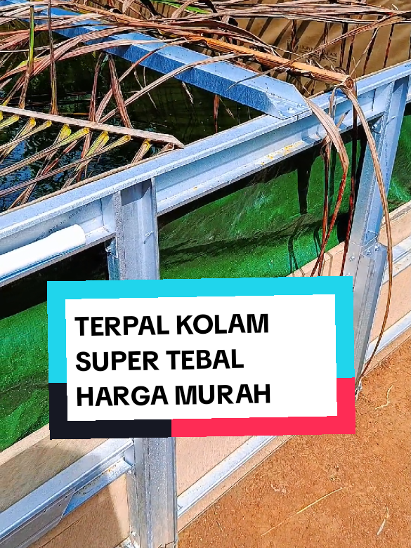 @yunfa lovers