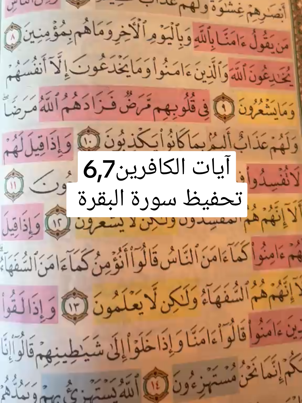 @Fadwa wawi
