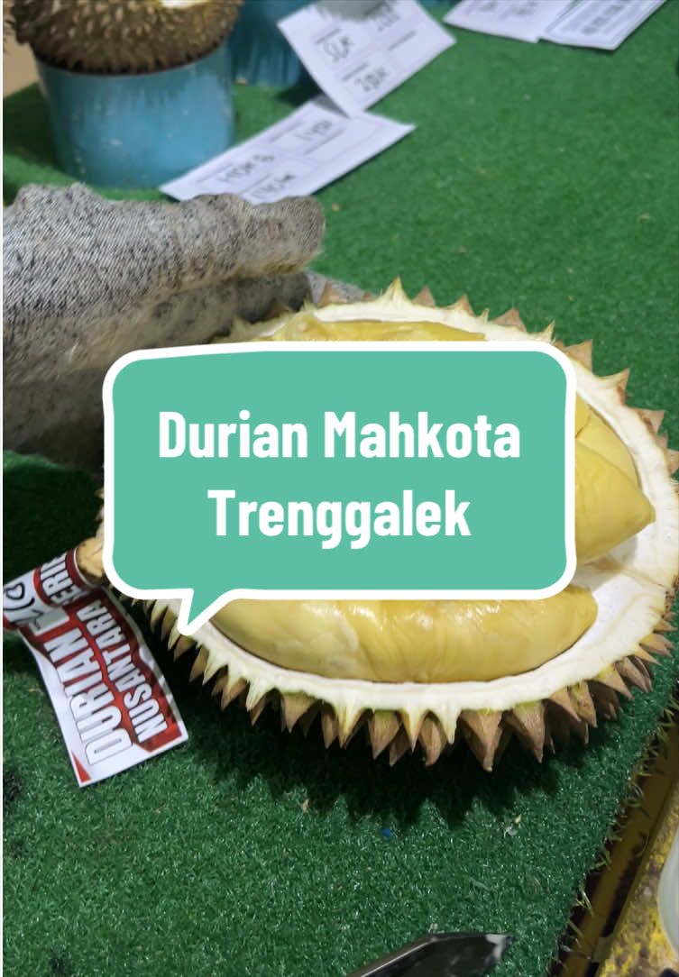 @Rumah Tamma Durian