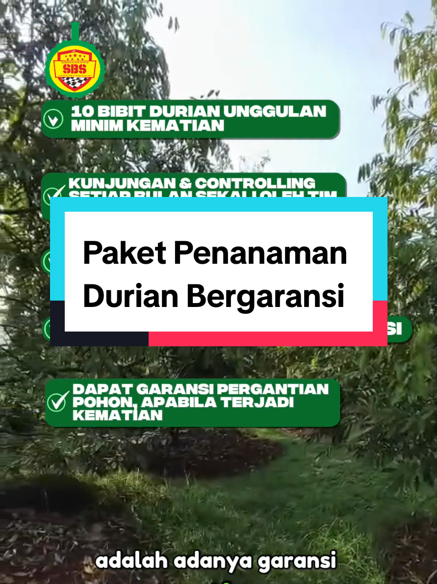 @Produksi Buah_SBS
