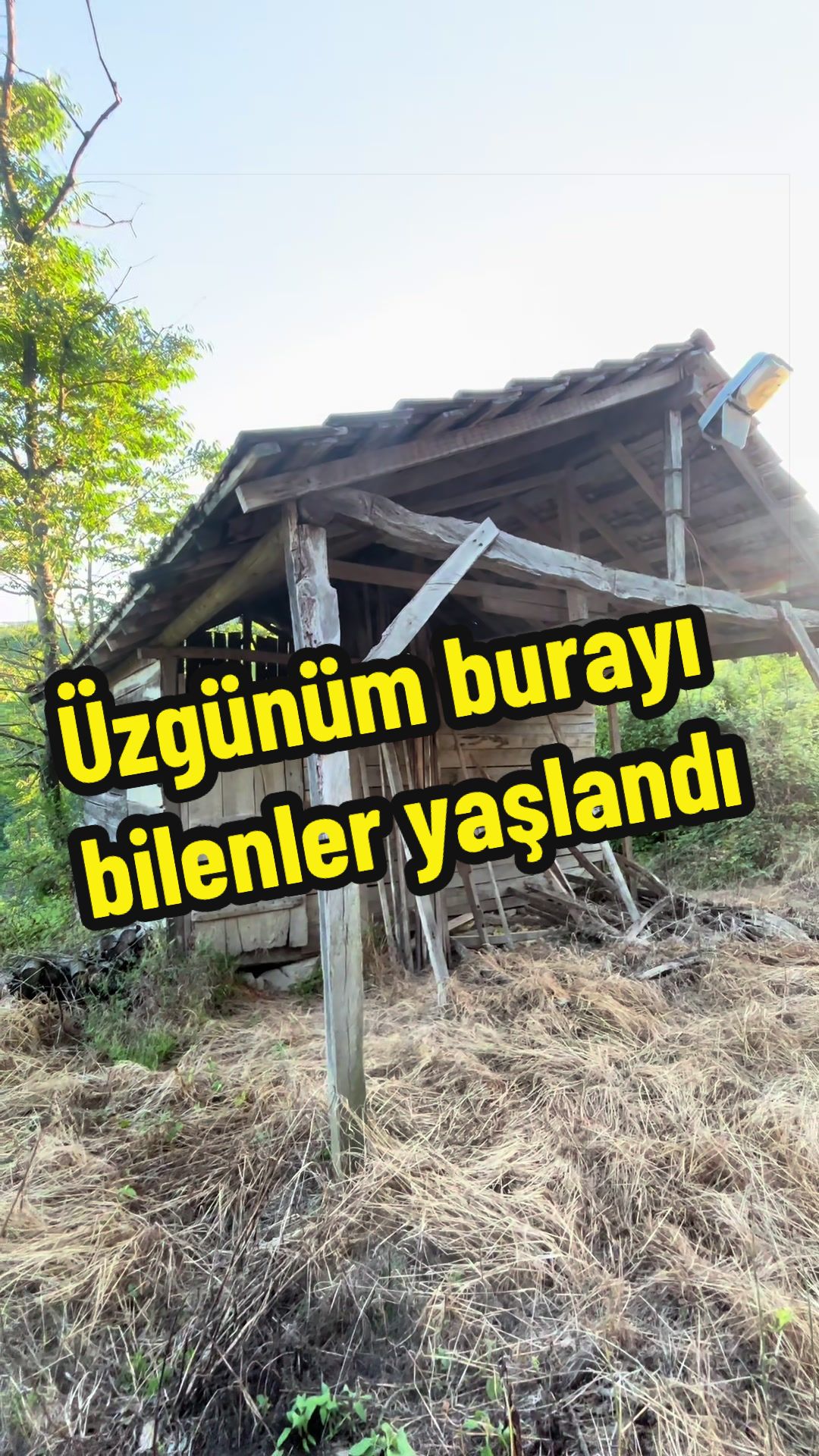 @Anıl Gümüştaş