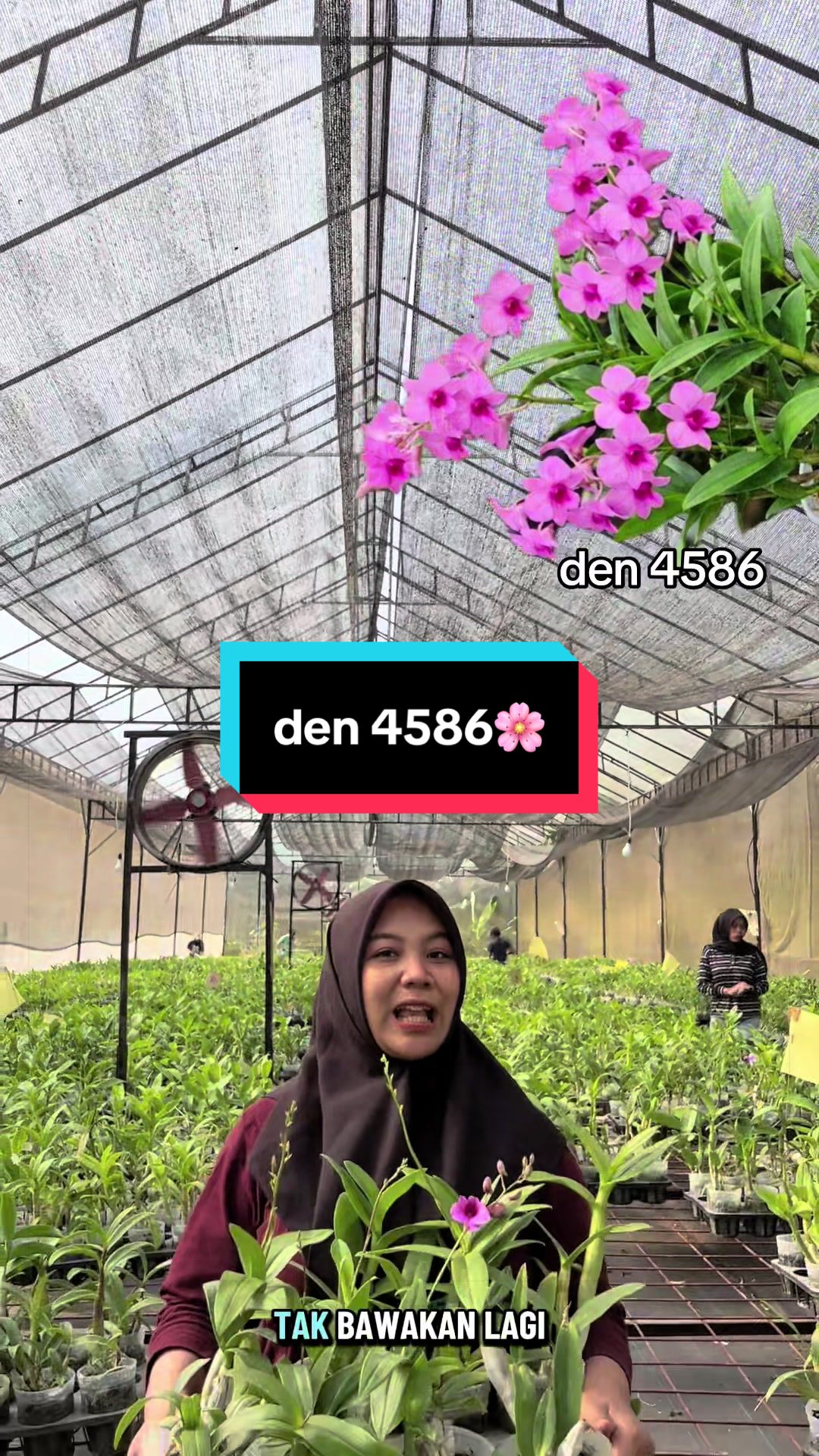 @Griya sekarindo utama