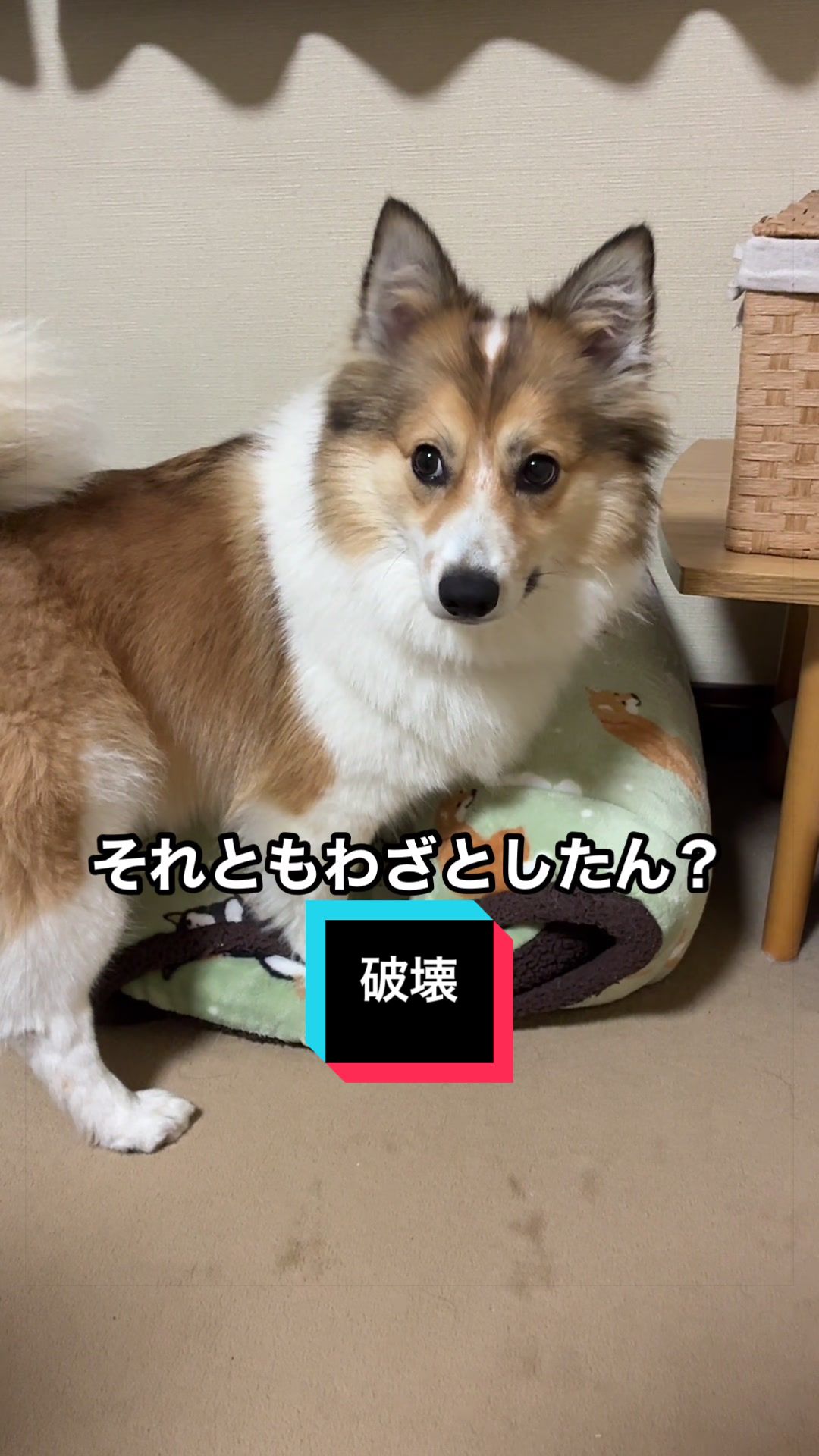 @サクサクビスケット