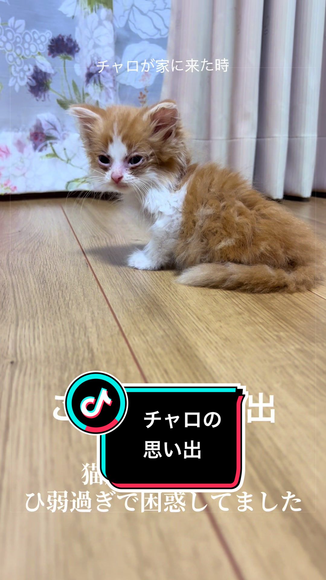 @稲荷弥勒