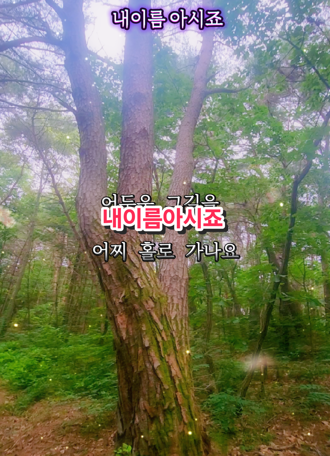 @뽀미