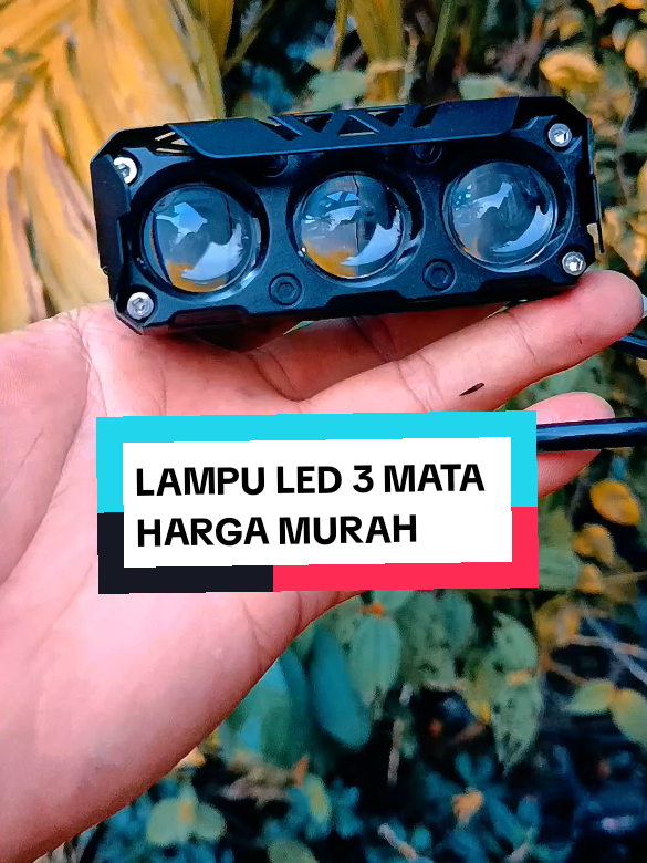 @yunfa lovers