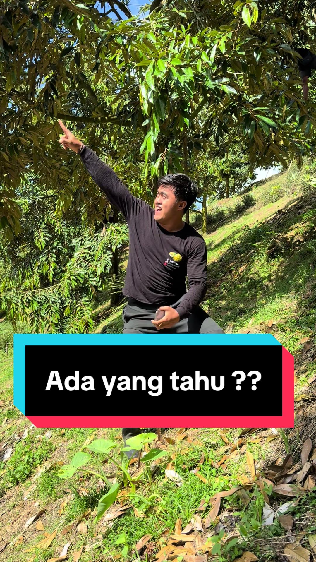 @Doni artawan