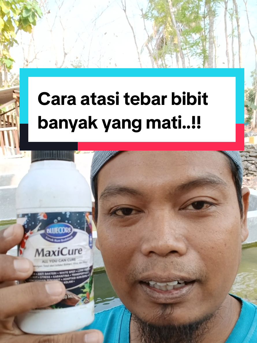 @Kang_Ewi