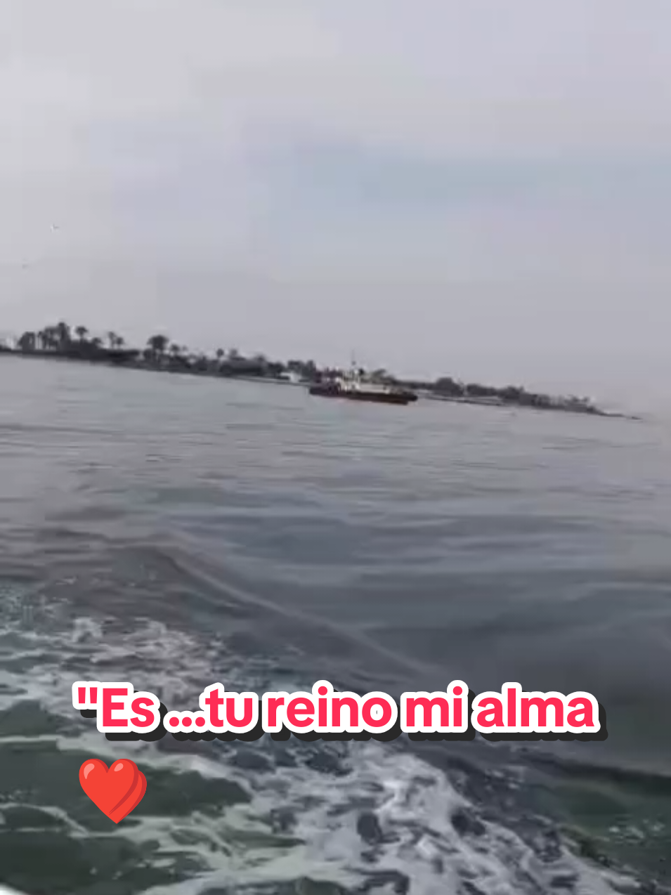 @Javi