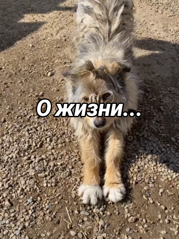 @Деревенская бабушка