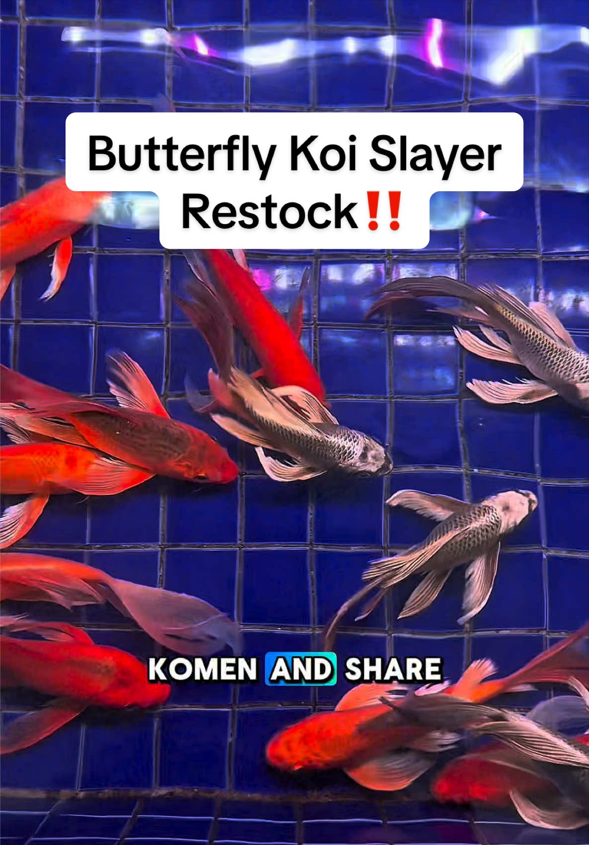 @SuperRedAquaticMelaka