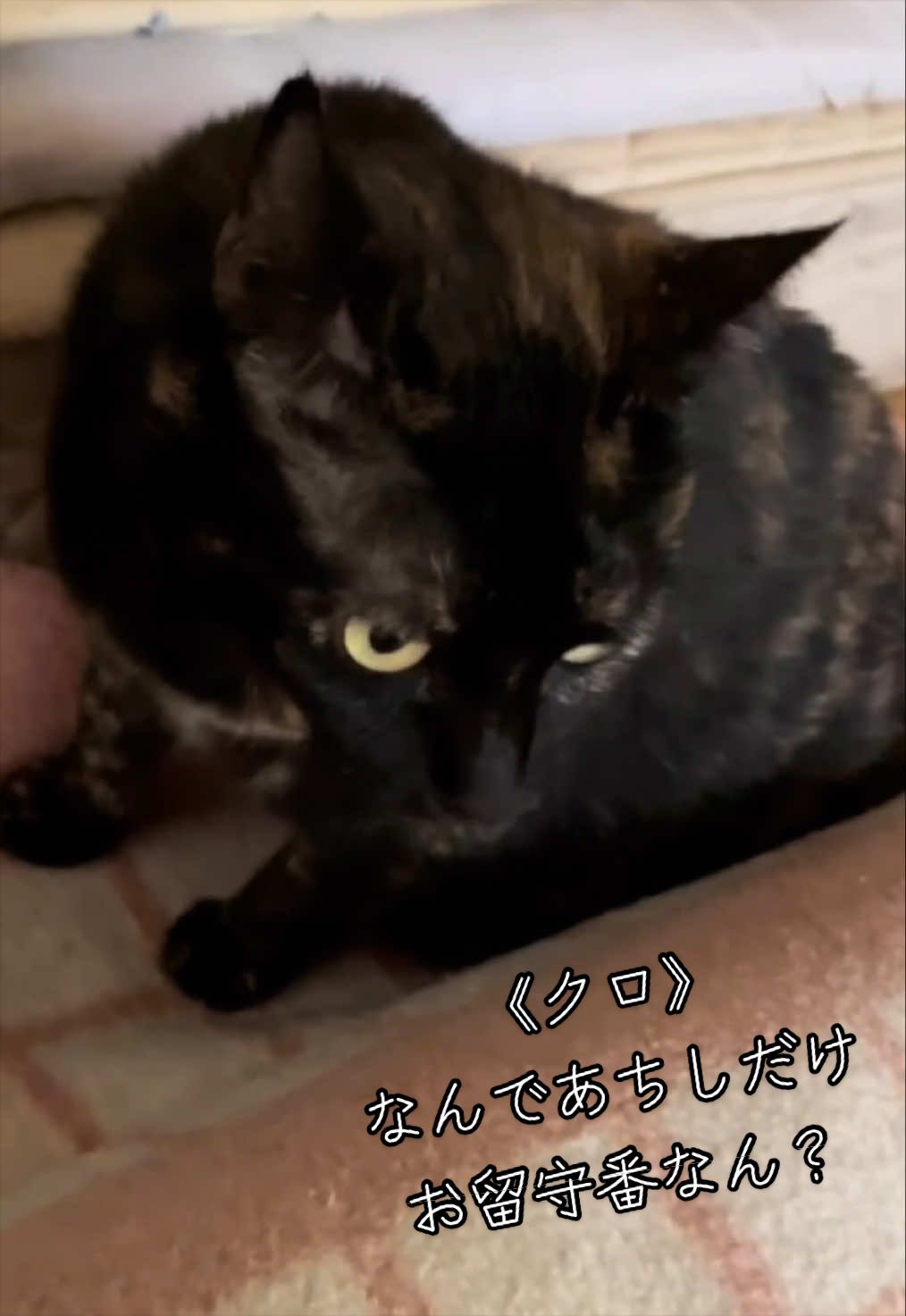 @聴々物語PROJECT