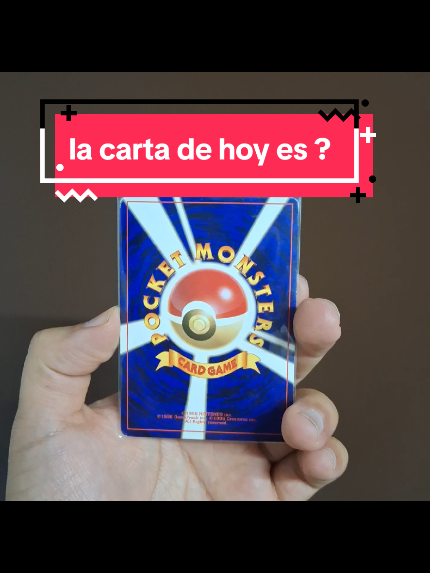 @yocolector