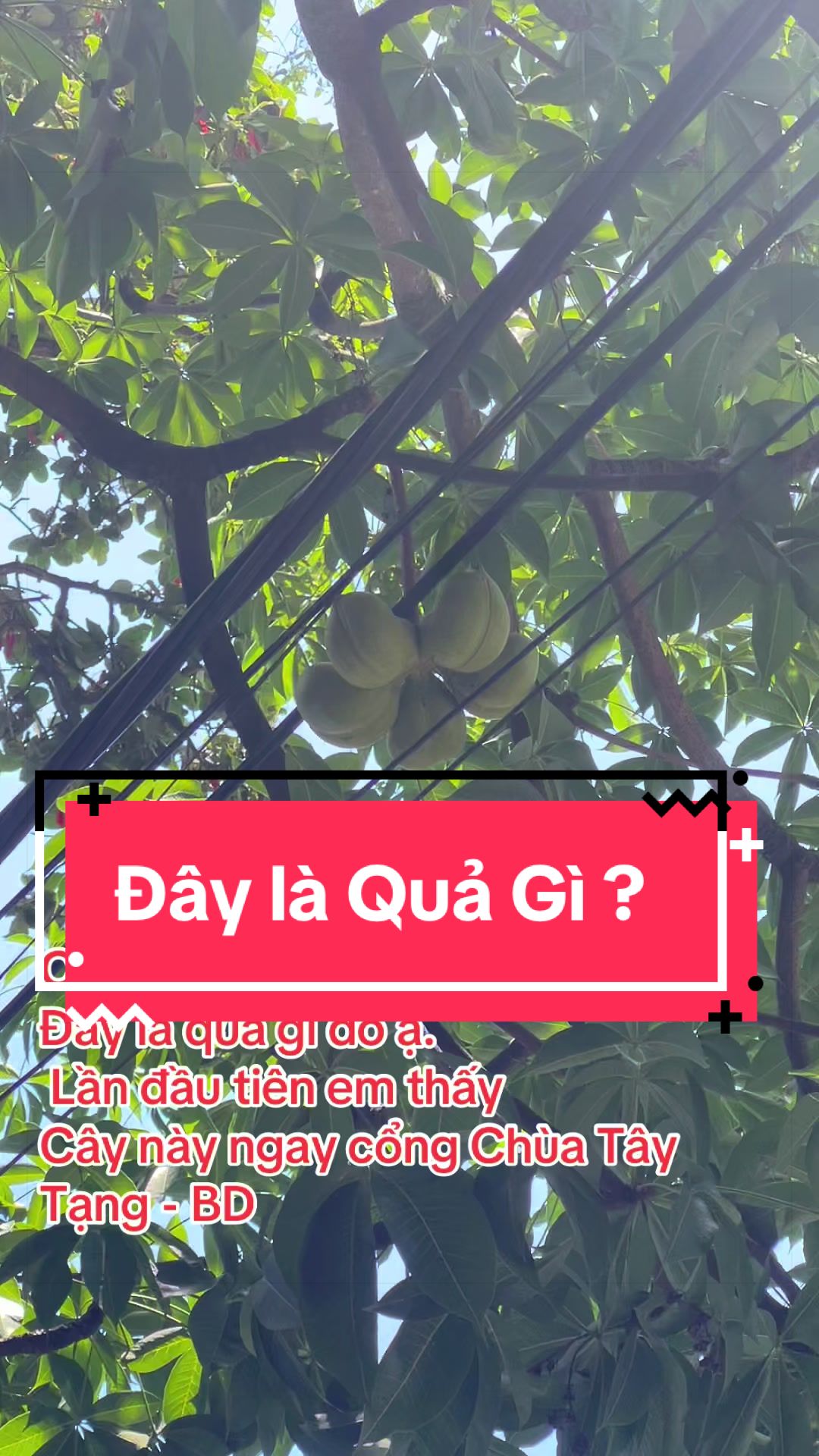 @Trần Chính