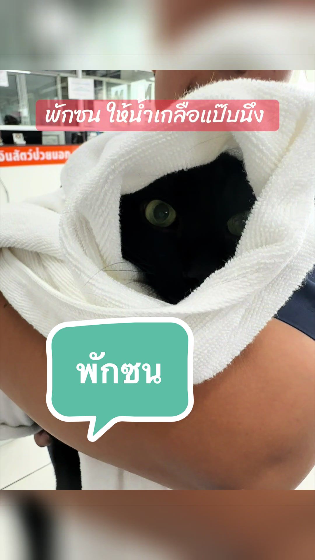 @PomPom Littlewitch