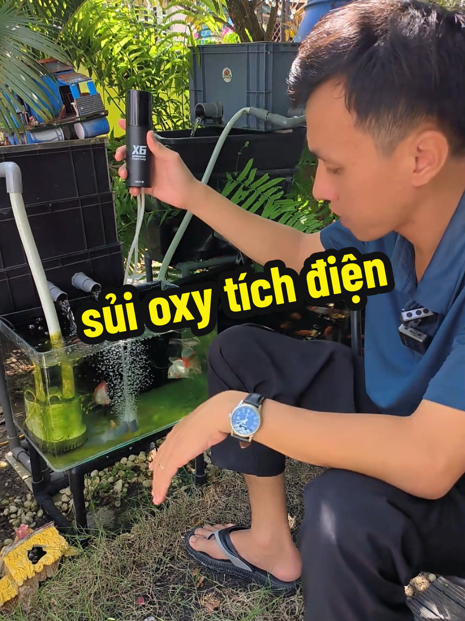 @Ngắm Cá Online