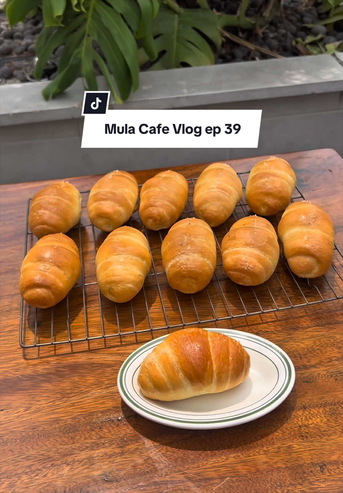 @mulamedan