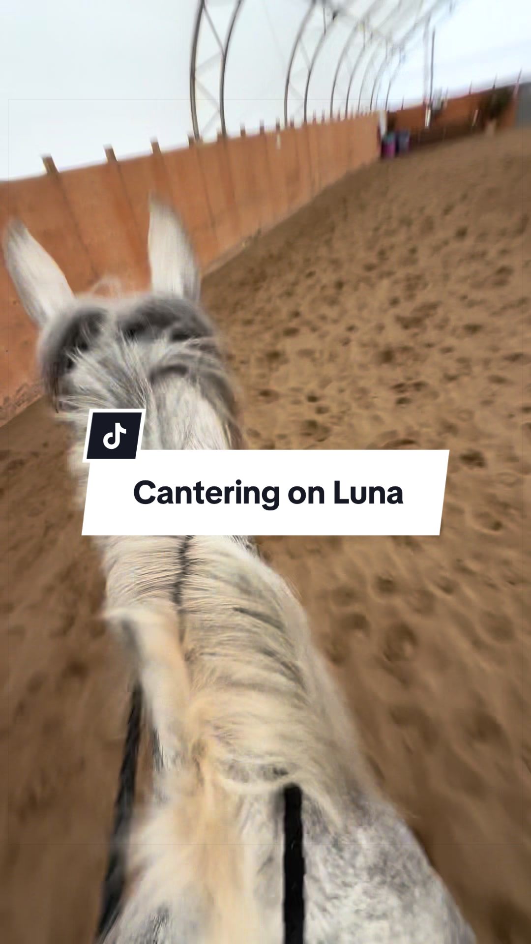 @Karin - Empower Equine app
