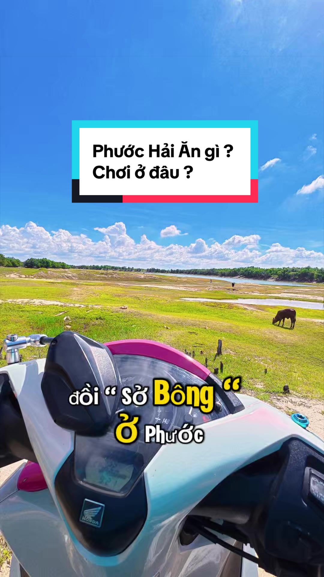 @AndyTrần 🤓