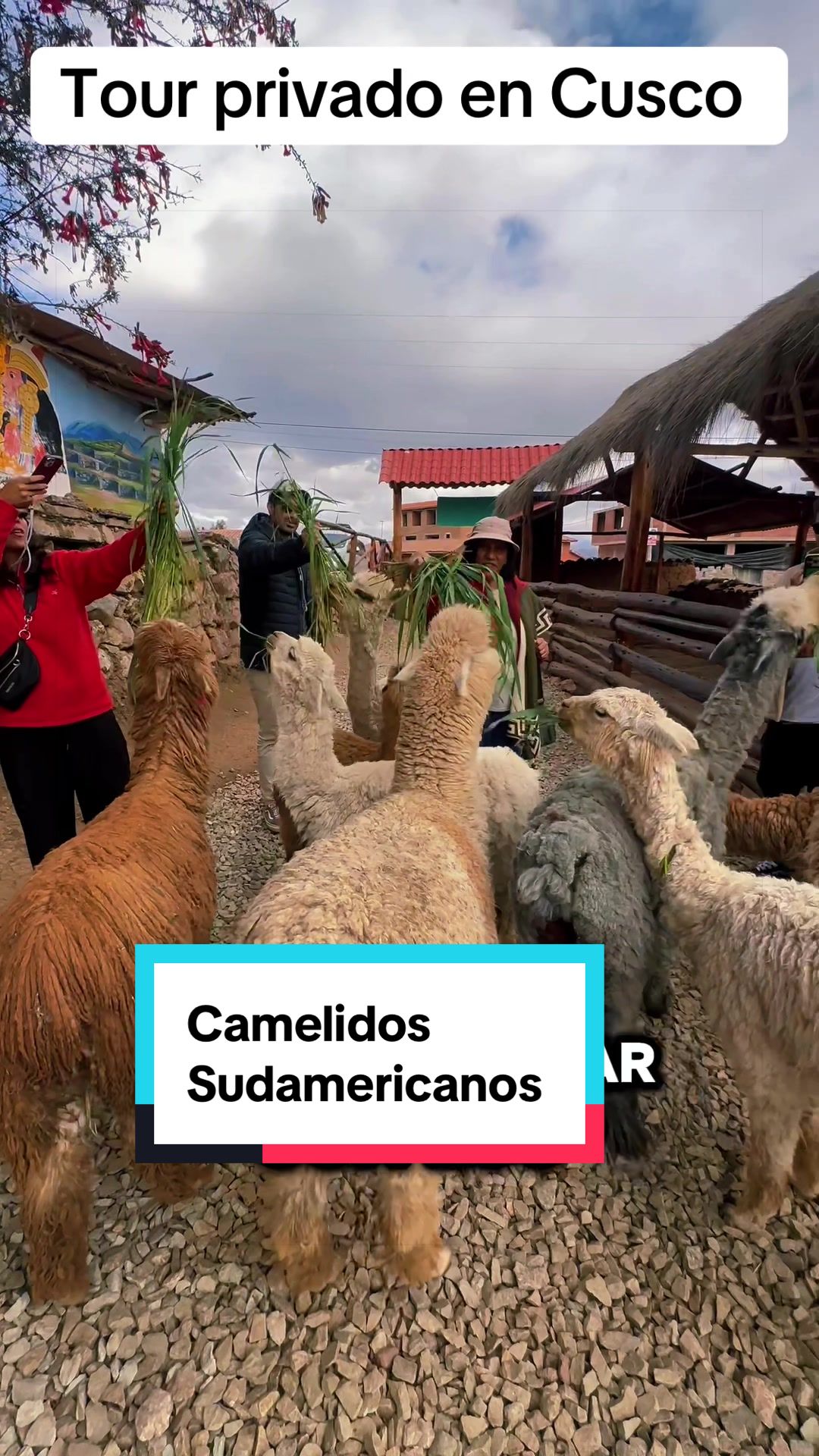@😃VIAJERO PER&Uacute; 🇵🇪