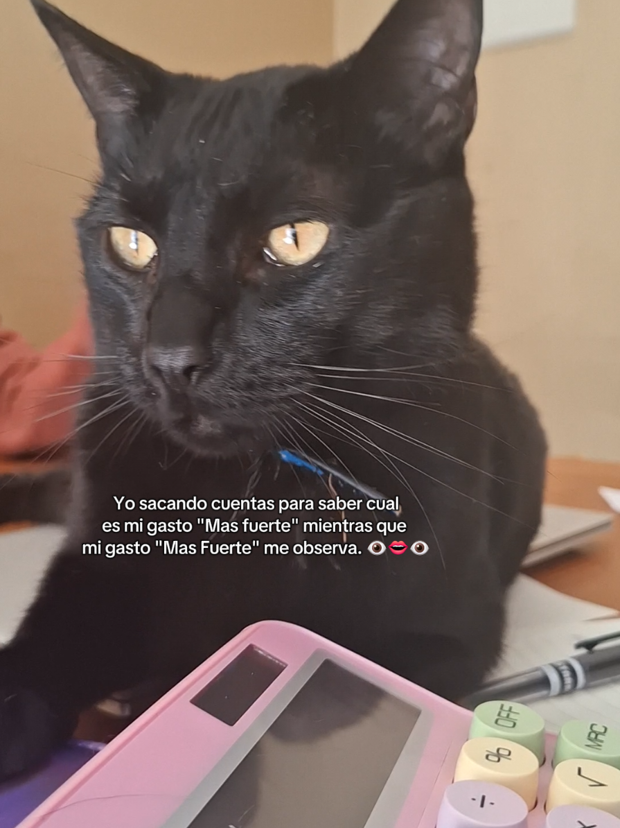 @MichiLovers&reg;