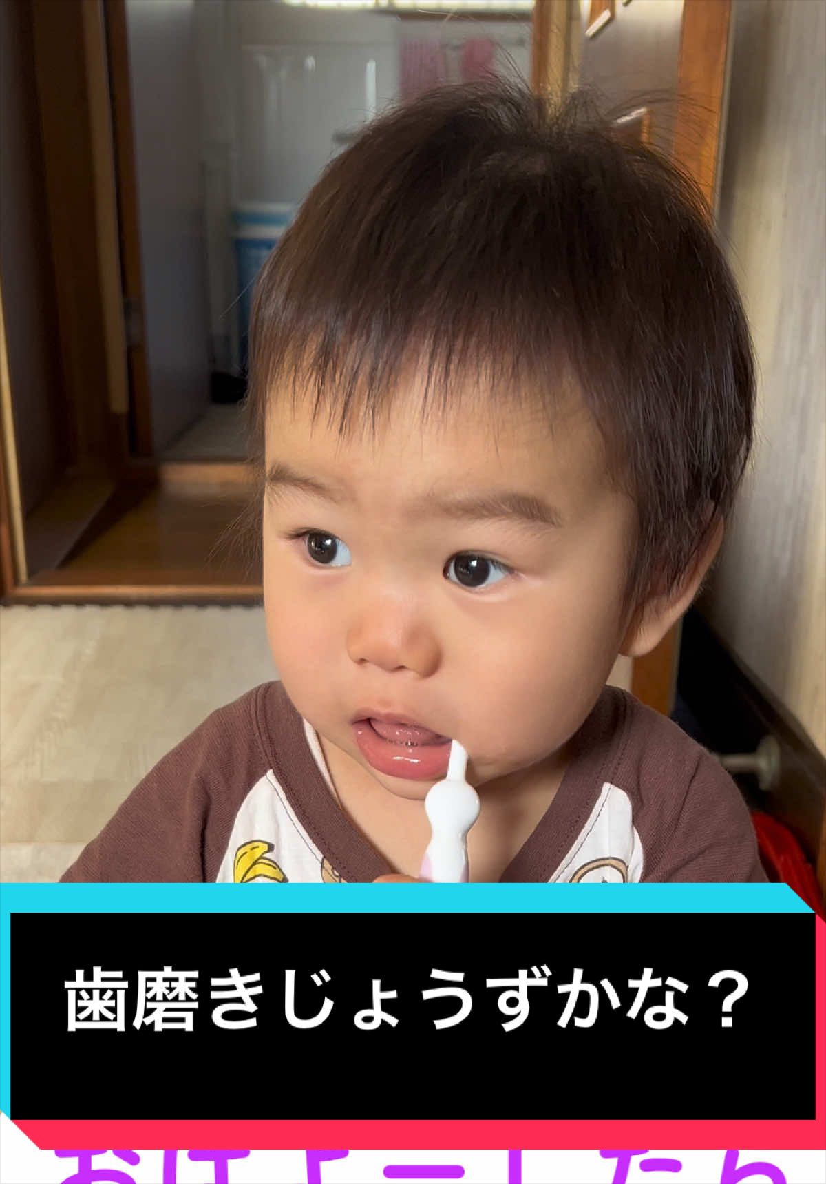 @とらままんち