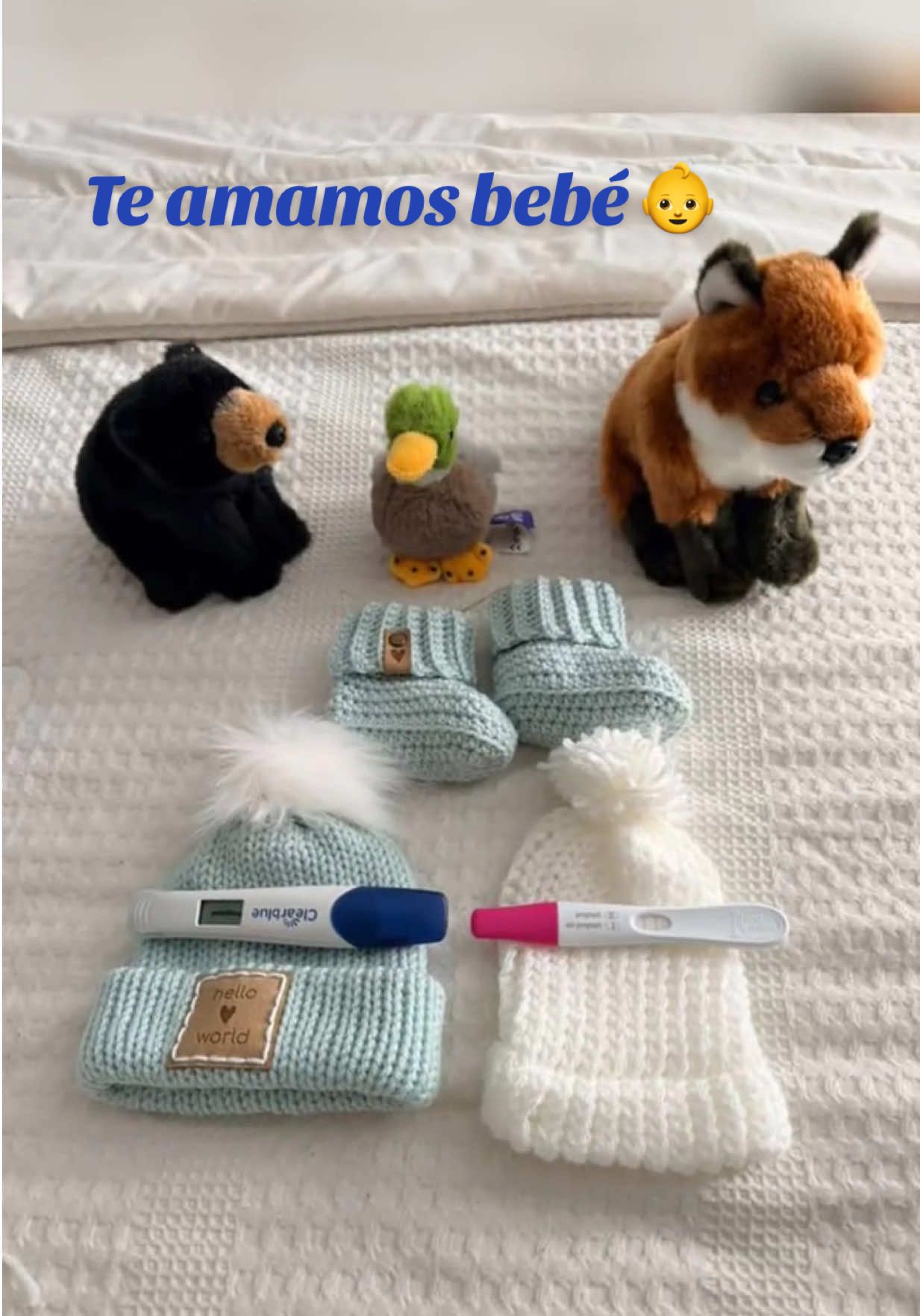 @ꗥ🌸 𝐒𝐚𝐧𝐝𝐝𝐲 🌸ꗥ~🇵🇪 🇺🇸