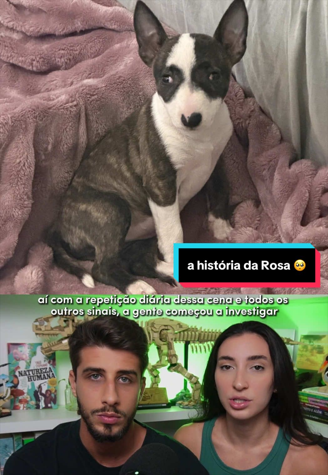 @Yago Stephano