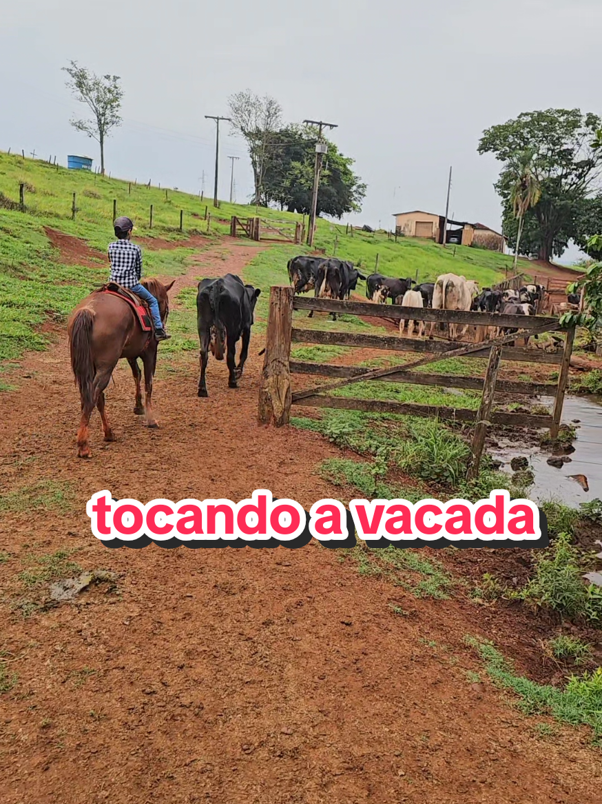 @Geovane neto