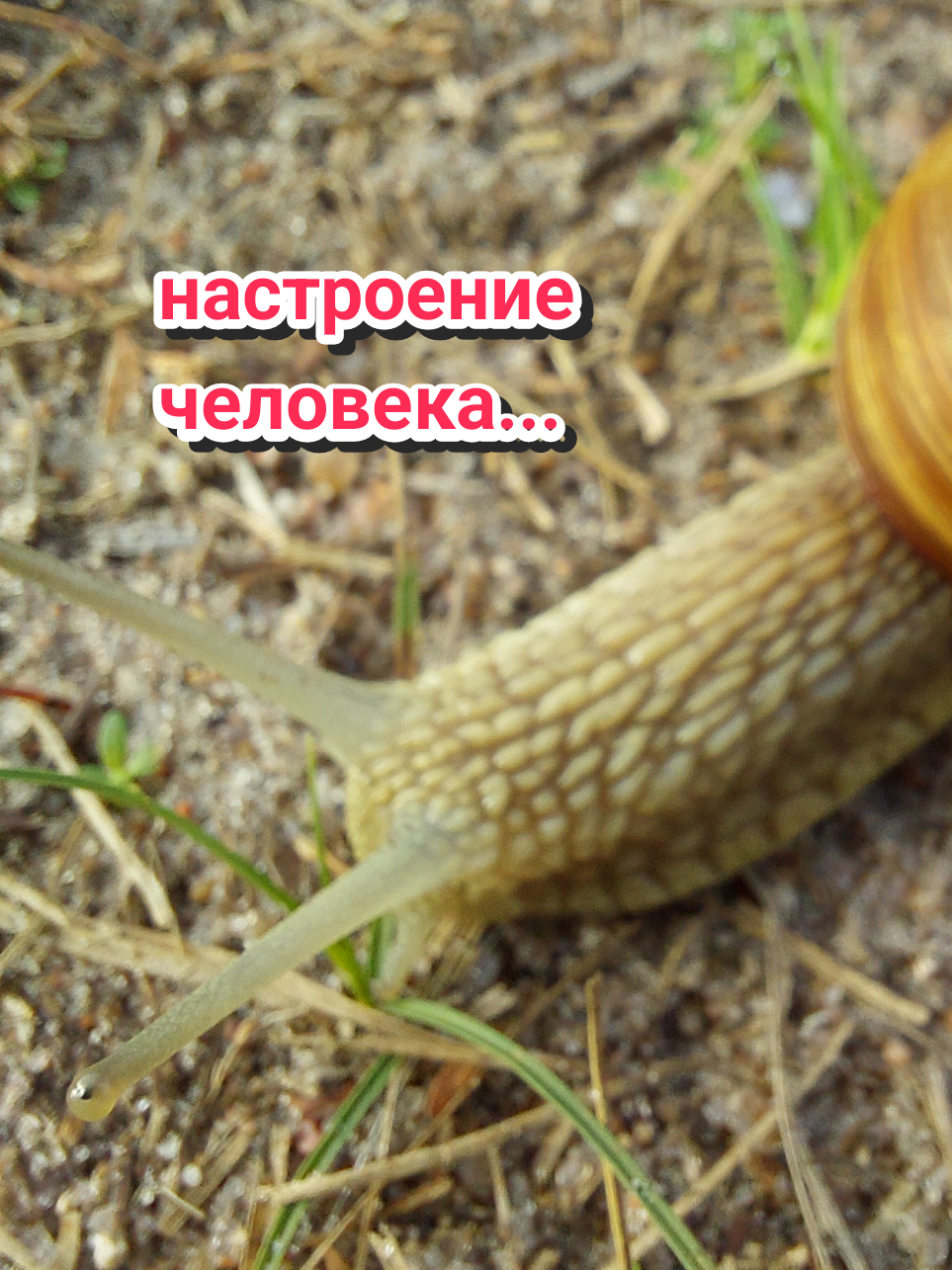 @Рыся✔️🇧🇾